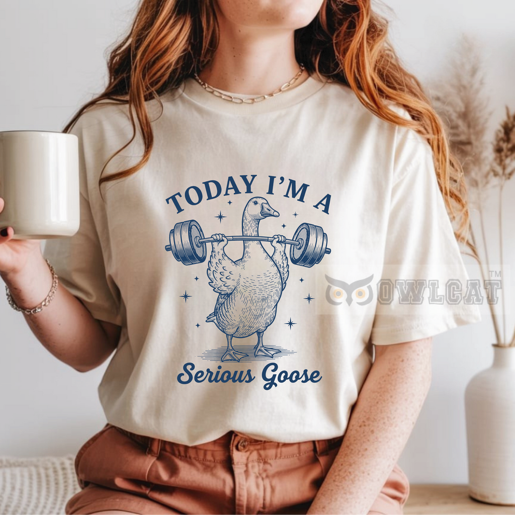 Funny T-shirt (Free shipping)