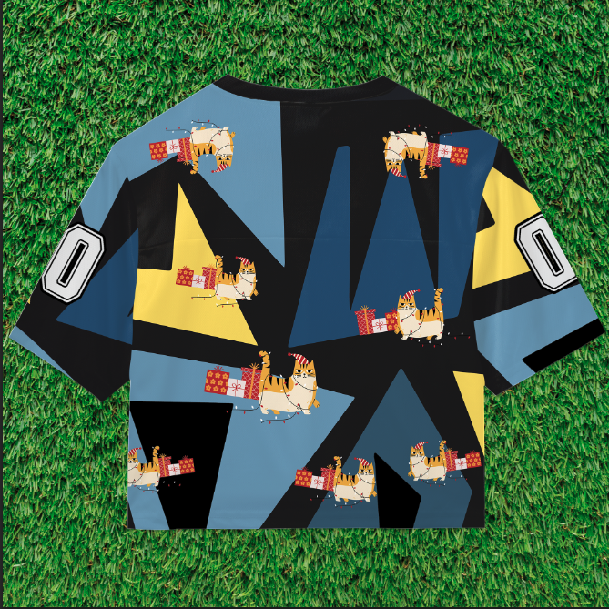 Crop Top Football Jersey (free shipping)