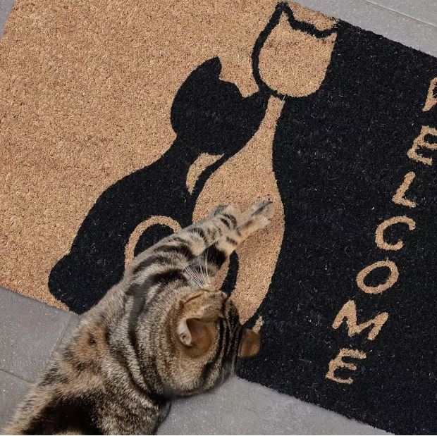 Doormat US (Free shipping)