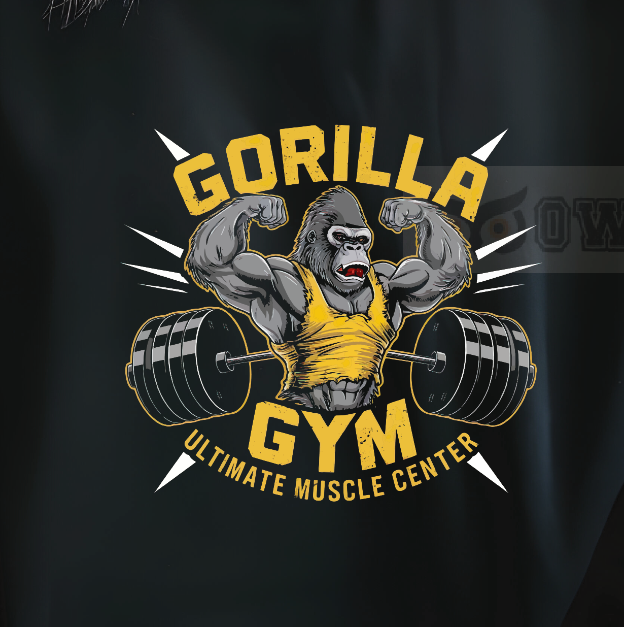 Unisex Crew-neck Sweatshirt Gym vintage (Made in US)