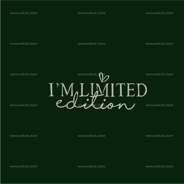 Embroidered Lightweight Unisex Hoodie US (free shipping)